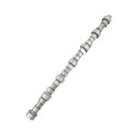 Camshaft Used For Mitsubishi Fuso Canter 4D33