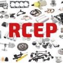 HOW MUCH DO YOU KNOW ABOUT RCEP ?