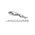 for Jaguar