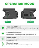 Tactical Light for SIG P365